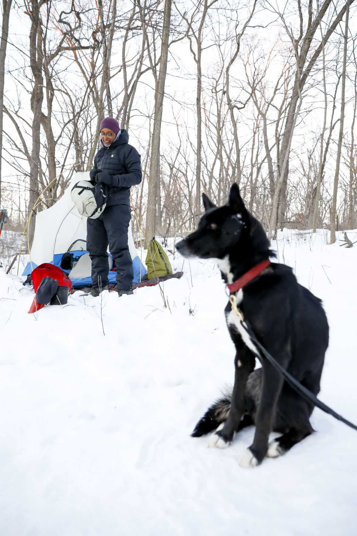 Ice Age Winter Hiker 012221 14-01252021091936